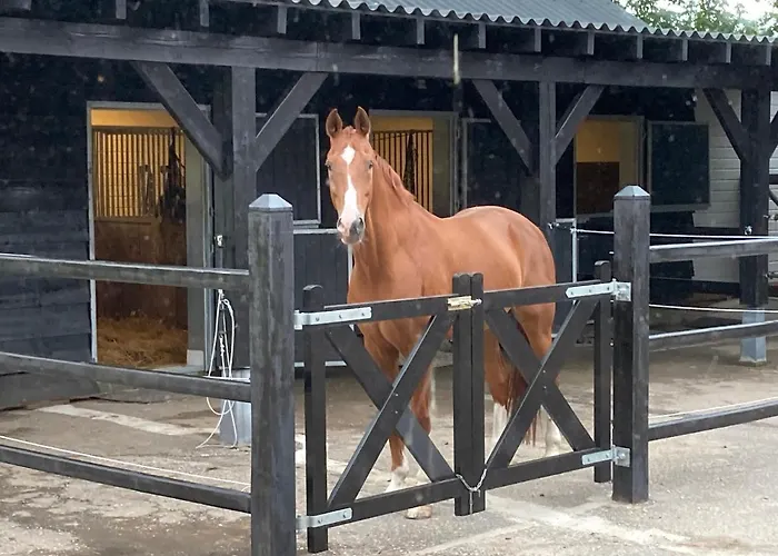 Domaine De La Bergerie بيت للعطل Zuid-Beijerland